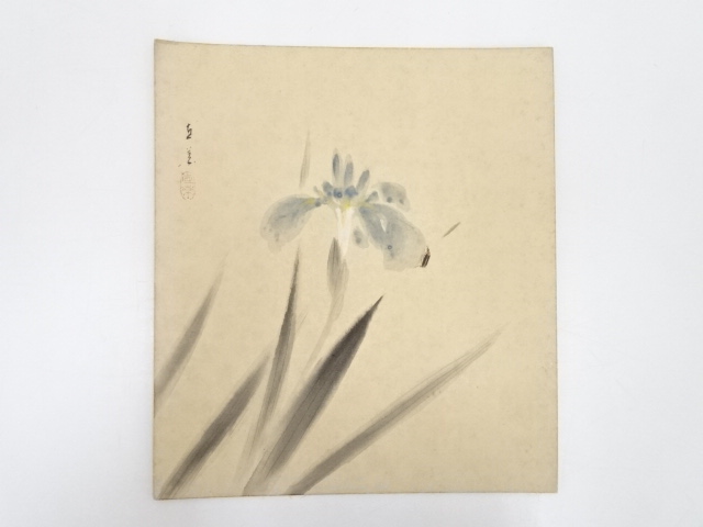 直葉筆　菖蒲に蛍図　肉筆色紙